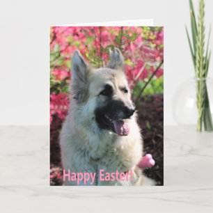 Cartes Pour Fêtes Annuelles GSD de Pâques