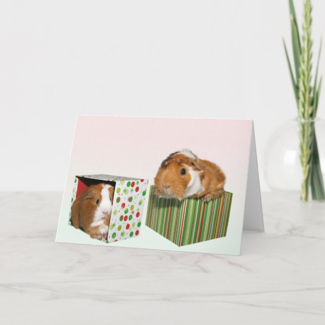 Cartes Pour Fêtes Annuelles Guinea Pig Christmas (Devant)