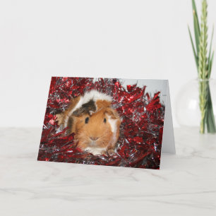 Cartes Pour Fêtes Annuelles Guinea Pig Christmas