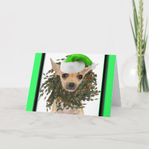 Cartes Pour Fêtes Annuelles Guirlande et casquette de Noël de chiwawa