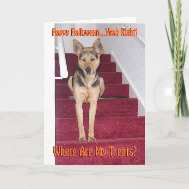 Cartes Pour Fêtes Annuelles Halloween Berger Allemand Chien Triste Pas De Trai (Devant)