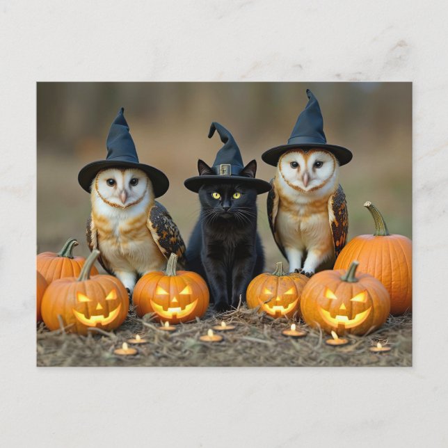 Cartes Pour Fêtes Annuelles Halloween Chat noir et Chouette mignonne (Devant)