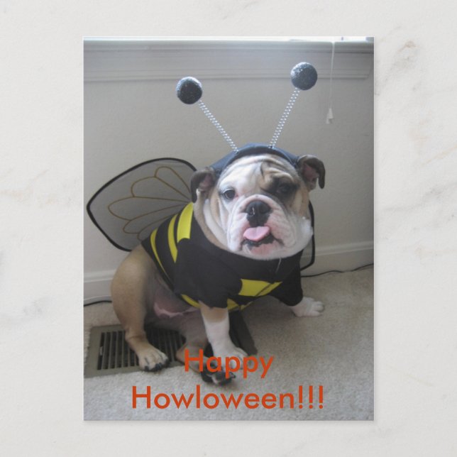 Cartes Pour Fêtes Annuelles Halloween heureux, bouledogue anglais (Devant)