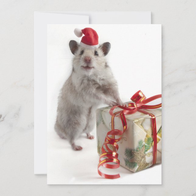 Cartes Pour Fêtes Annuelles Hamster du père noël avec le cadeau (Devant)