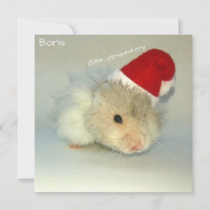 Cartes Pour Fêtes Annuelles Hamster Père Noël !