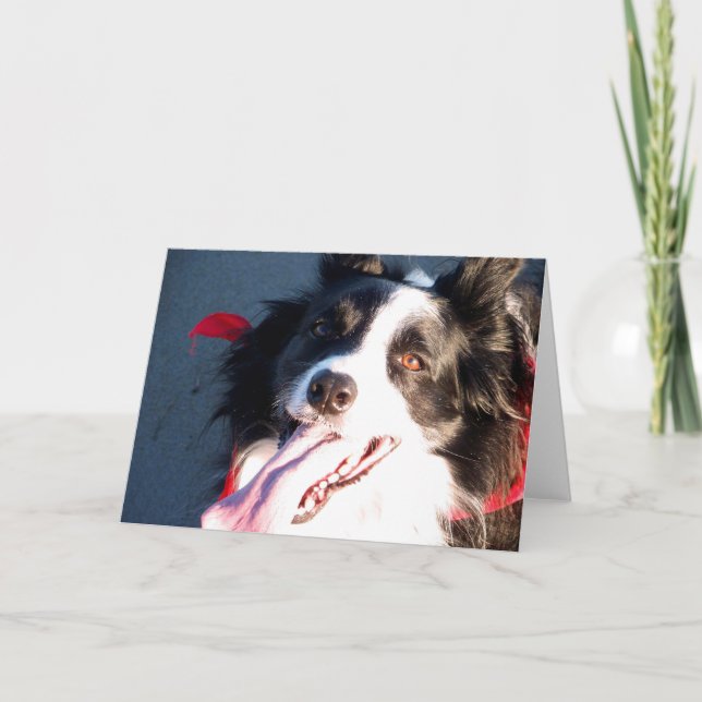 Cartes Pour Fêtes Annuelles Happy border Collie (Devant)