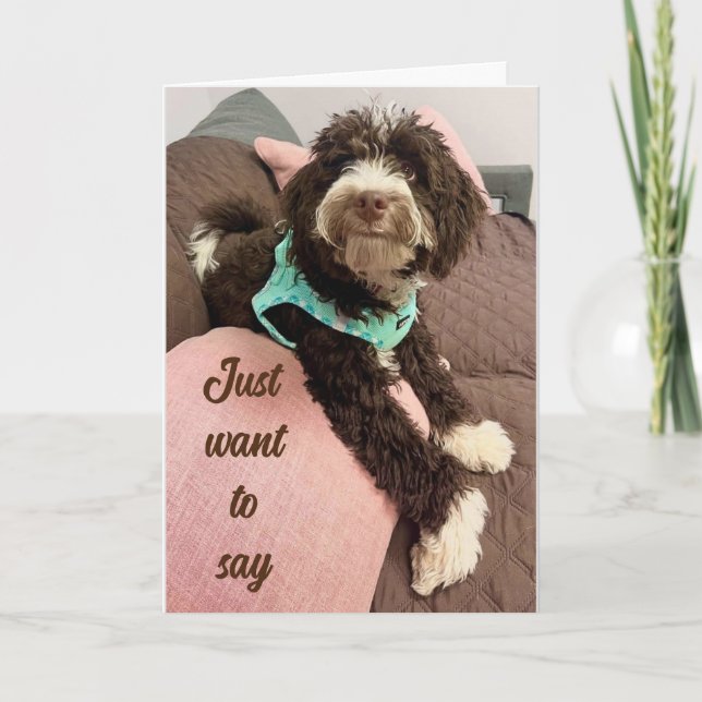 CARTES POUR FÊTES ANNUELLES **HAPPY EASTER** DE L'ADORABLE BERNEDOODLE (Devant)