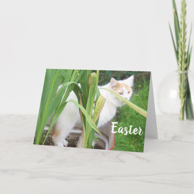 Cartes Pour Fêtes Annuelles HAPPY EASTER - HEUREUX PRINTEMPS à "VOUS" (Devant)