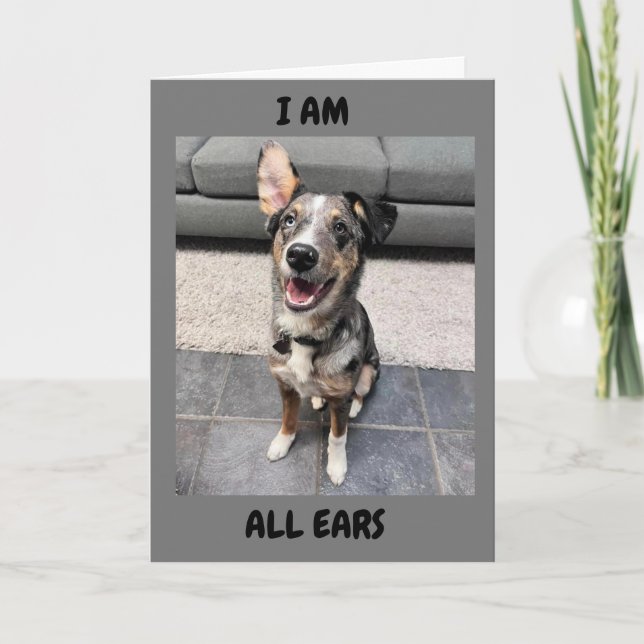 CARTES POUR FÊTES ANNUELLES **HAPPY EASTER** TOUS LES "OREILLES" POUR "ENTENDR (Devant)