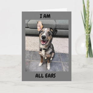 CARTES POUR FÊTES ANNUELLES **HAPPY EASTER** TOUS LES "OREILLES" POUR "ENTENDR