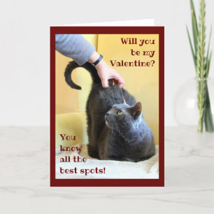 Cartes Pour Fêtes Annuelles Happy Grey Chat avec Tail Up
