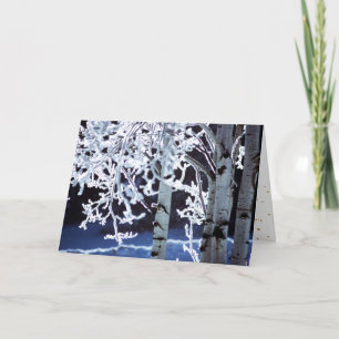 Cartes Pour Fêtes Annuelles Happy Hanoukka Birch Tree givre