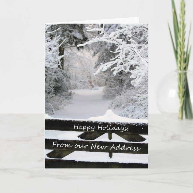 Cartes Pour Fêtes Annuelles Happy Holidays (Devant)