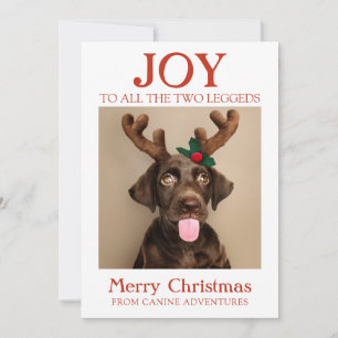 Cartes Pour Fêtes Annuelles Happy Holidays Photo Chien De Dog Walker