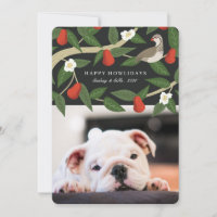 Happy Howlidays Photo | Arbre à perdrix