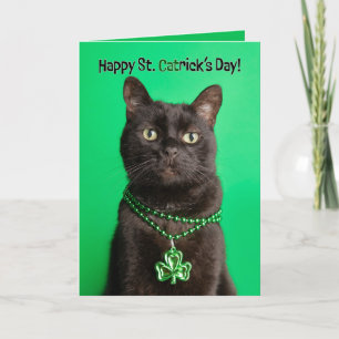 Cartes Pour Fêtes Annuelles Happy Jour de la Saint Patrick Day Chat en Shamroc