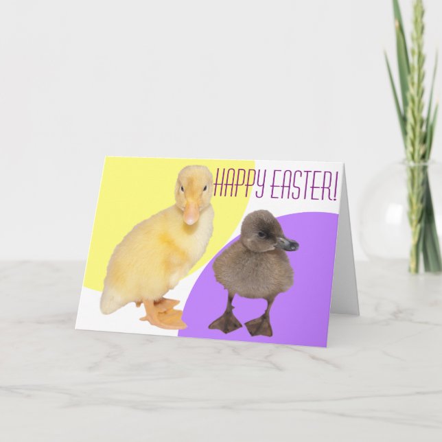 Cartes Pour Fêtes Annuelles Happy Pâques adorable Fuzzy Ducklings Photographie (Devant)