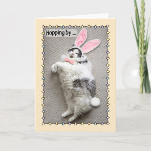 Cartes Pour Fêtes Annuelles Happy Pâques drôle Gros Chat dans Bunny Ears