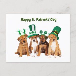 Cartes Pour Fêtes Annuelles Happy St. Patrick's Day dogs