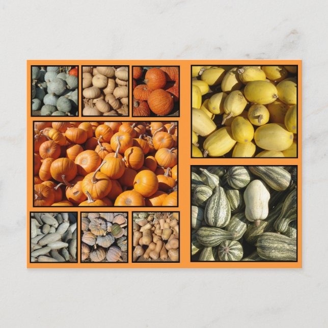 Cartes Pour Fêtes Annuelles Happy Thanksgiving (Devant)