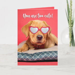 Cartes Pour Fêtes Annuelles Happy Valeneitne's Day mignonne Labrador Humour ch