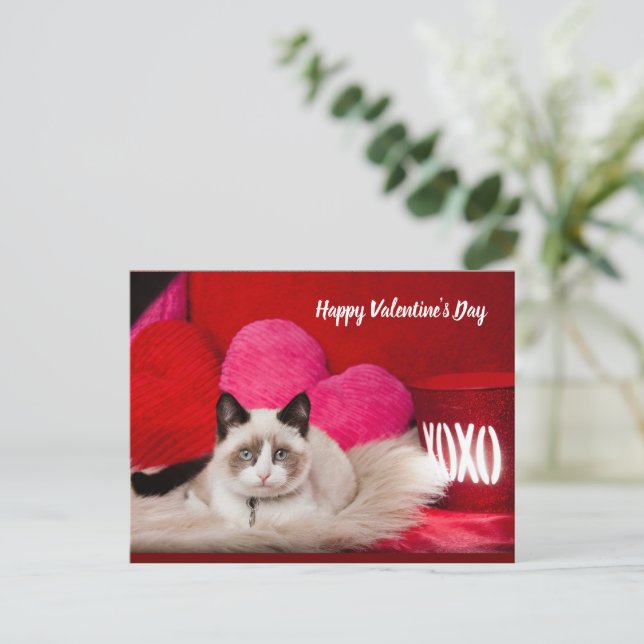 Cartes Pour Fêtes Annuelles Happy Valentine's Day postcard (Debout devant)