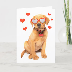 Cartes Pour Fêtes Annuelles Happy Valentine's Day Red Fox Labrador Puppy Humor