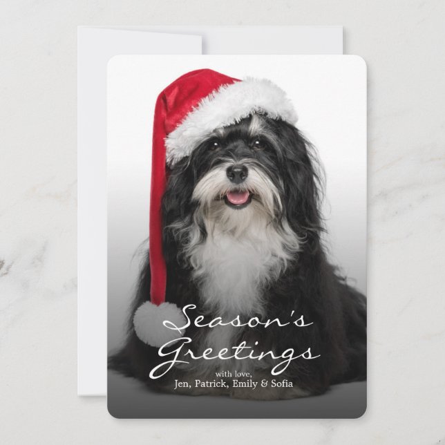 Cartes Pour Fêtes Annuelles Havanese Dog With Santa Hat (Devant)