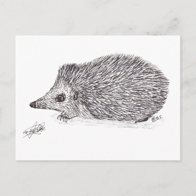 CARTES POUR FÊTES ANNUELLES HEDGEHOG (Devant)