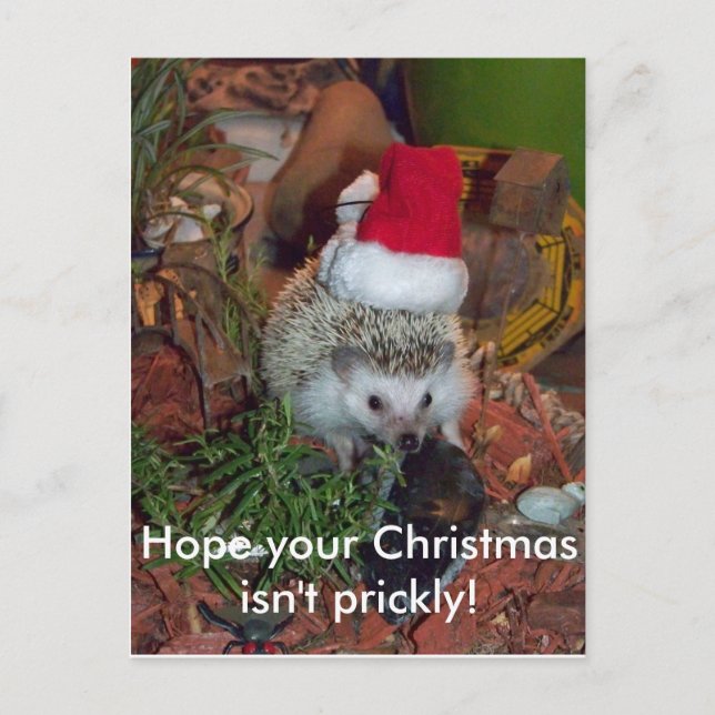 Cartes Pour Fêtes Annuelles Hedgie le hérisson vous souhaite un Joyeux Noël (Devant)
