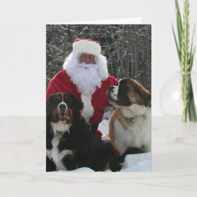 Cartes Pour Fêtes Annuelles Helpers à la fourrure père Noël (Devant)