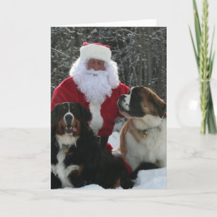 Cartes Pour Fêtes Annuelles Helpers à la fourrure père Noël