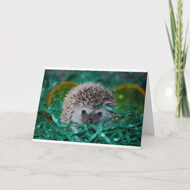 Cartes Pour Fêtes Annuelles Hérisson bébé en herbe de Pâques (Devant)