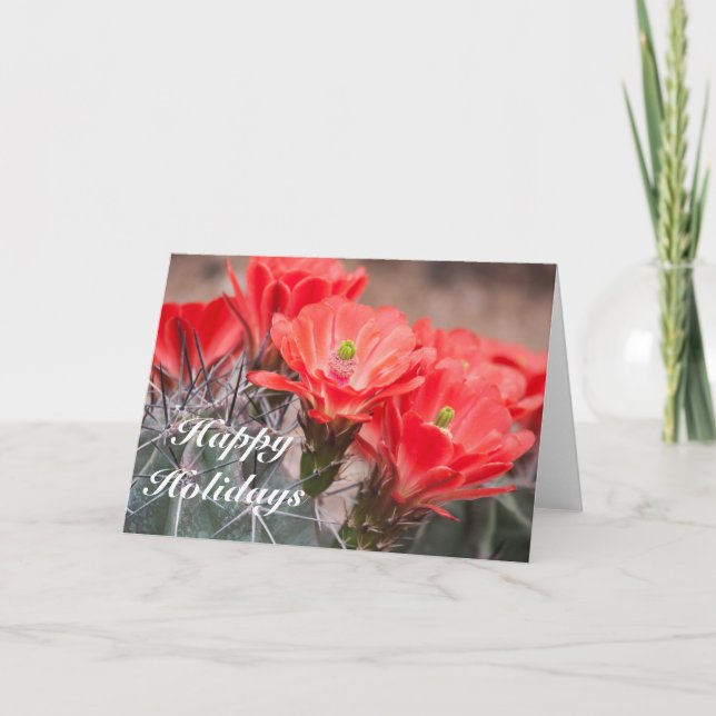 Cartes Pour Fêtes Annuelles Hérisson Cactus Joyeuses Fêtes (Devant)