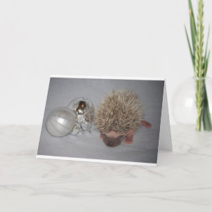 Cartes Pour Fêtes Annuelles Hérisson Noël