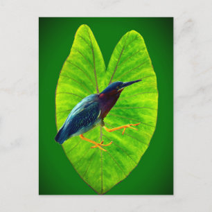 Cartes Pour Fêtes Annuelles Héron vert
