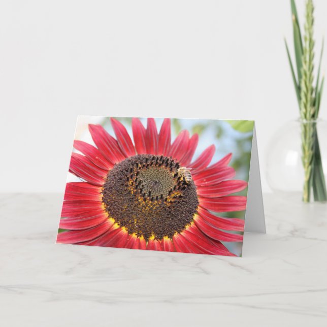 Cartes Pour Fêtes Annuelles Heure du dîner (Devant)