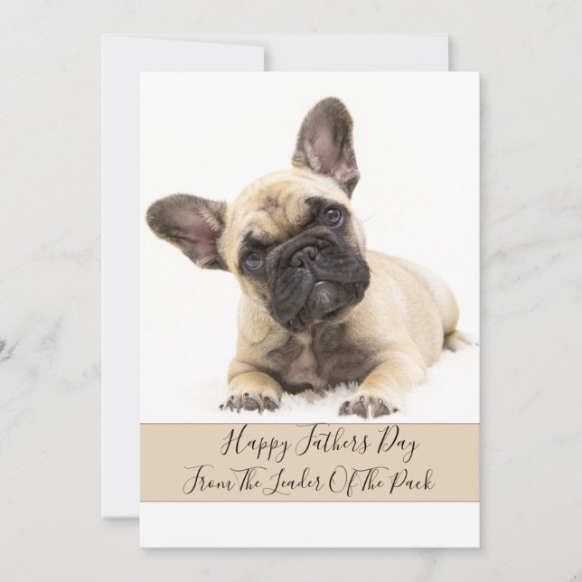 Cartes Pour Fêtes Annuelles Heureuse photo de chien de Fête des pères (Devant)