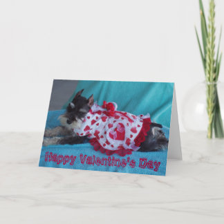 Cartes Pour Fêtes Annuelles Heureuse Sainte-Valentin