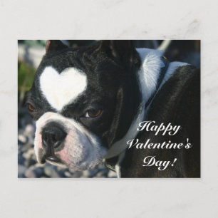 Cartes Pour Fêtes Annuelles Heureuse Sainte-Valentin