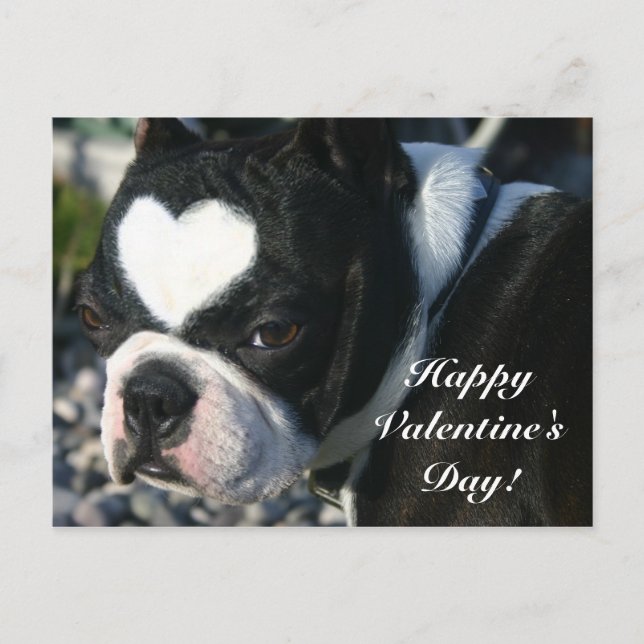 Cartes Pour Fêtes Annuelles Heureuse Sainte-Valentin (Devant)