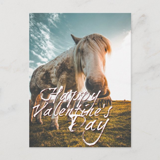 Cartes Pour Fêtes Annuelles Heureuse Sainte-Valentin avec regard Cheval (Devant)
