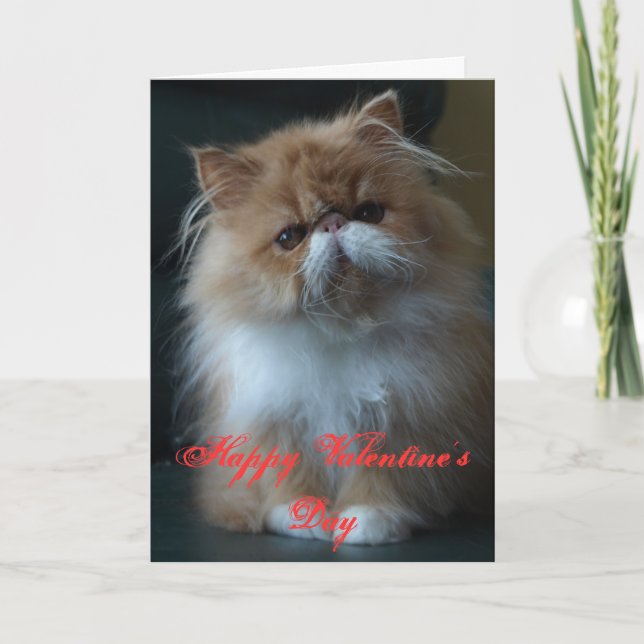 Cartes Pour Fêtes Annuelles Heureuse Sainte-Valentin de chat persan (Devant)