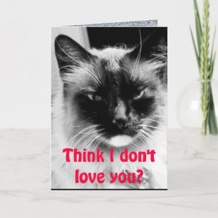 Cartes Pour Fêtes Annuelles Heureuse Sainte-Valentin de l'Humour de chat