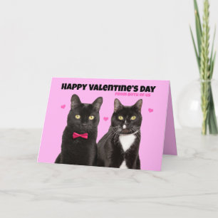 Cartes Pour Fêtes Annuelles Heureuse Sainte-Valentin de nous deux mignons chat