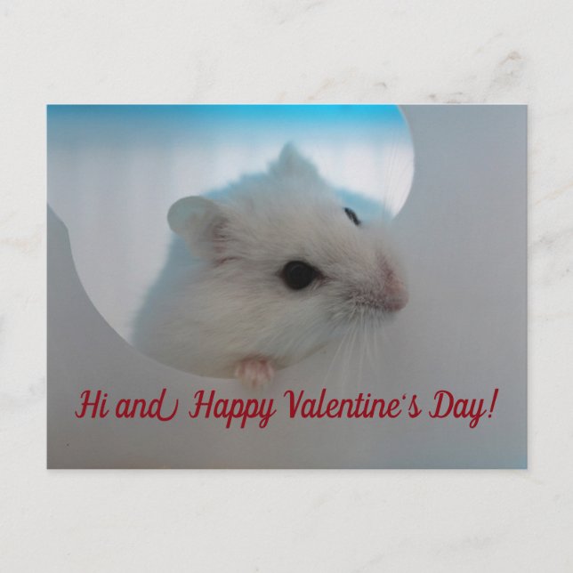 Cartes Pour Fêtes Annuelles Heureuse Sainte-Valentin Hamster (Devant)