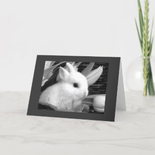 CARTES POUR FÊTES ANNUELLES HEUREUX PÂQUES À MON "BUNNY HONEY"