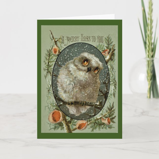 Cartes Pour Fêtes Annuelles Hibou de Joyeux Noël (Devant)