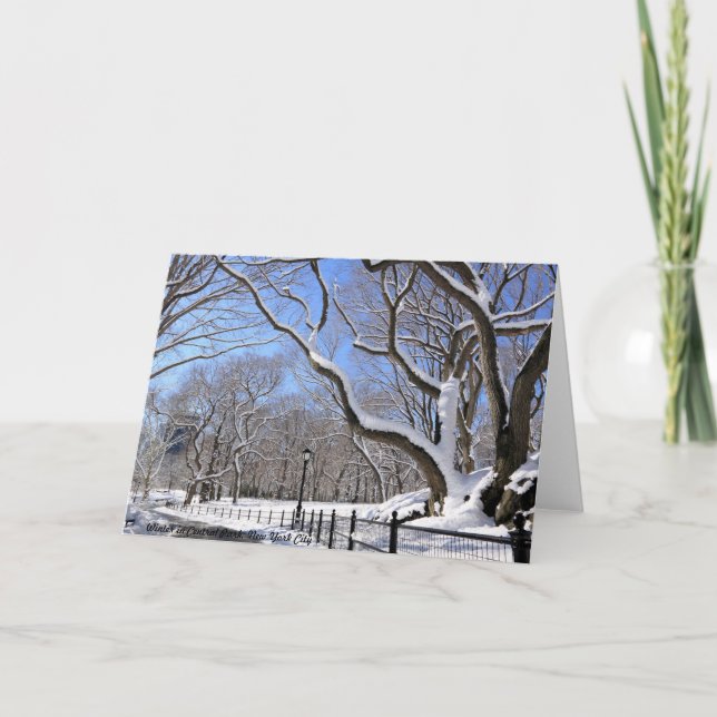Cartes Pour Fêtes Annuelles Hiver à Central Park, New York (Devant)