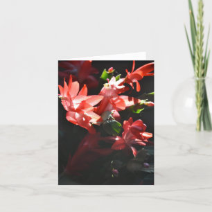 Cartes Pour Fêtes Annuelles Hiver de désert
